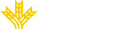 logo_footer